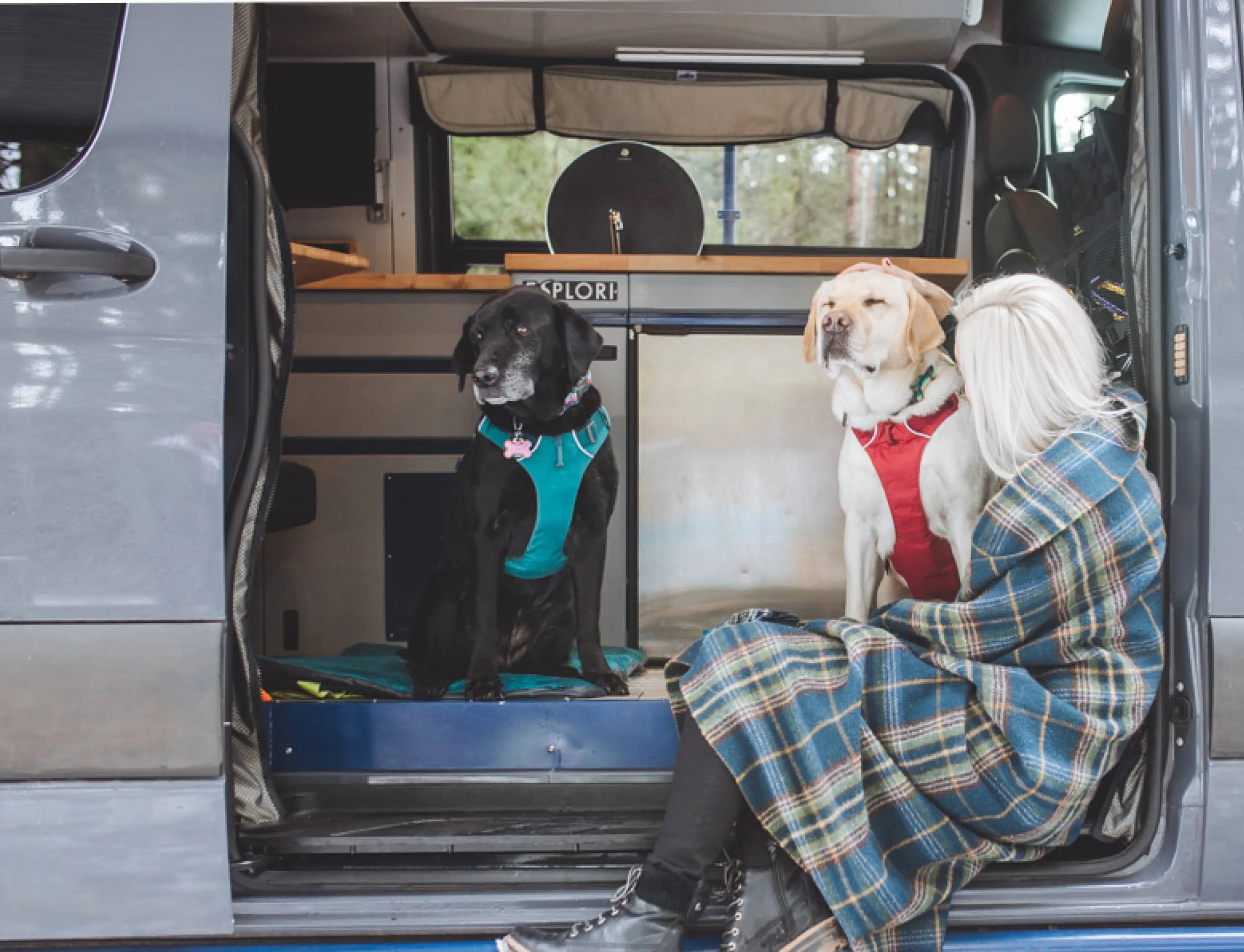 Women with dogs inside an Esplori Van